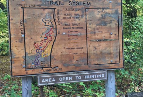 Changing Up The Routine